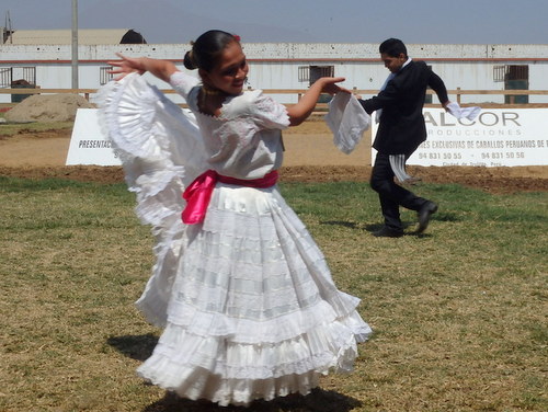 Peruvian Step Horse Show.